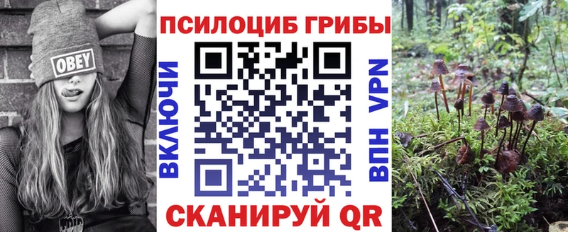 Псилоцибиновые грибы Psilocybine cubensis  Сертолово 